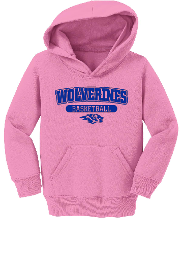 Toddler Hoodie- DNH Blue Logo