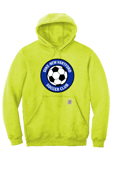 DNH CVS - Carhartt Adult Hoodie - CTK121